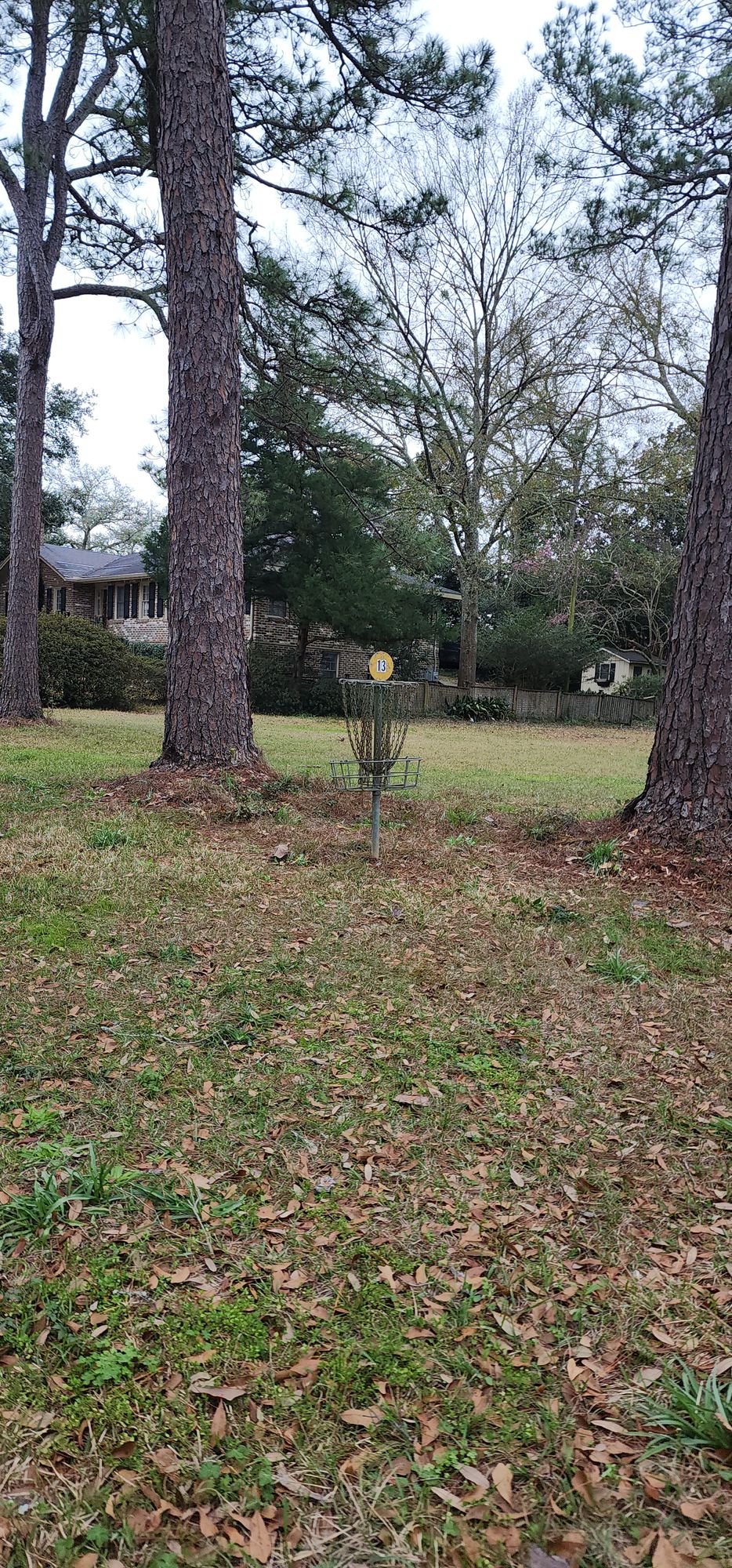 Hole 4