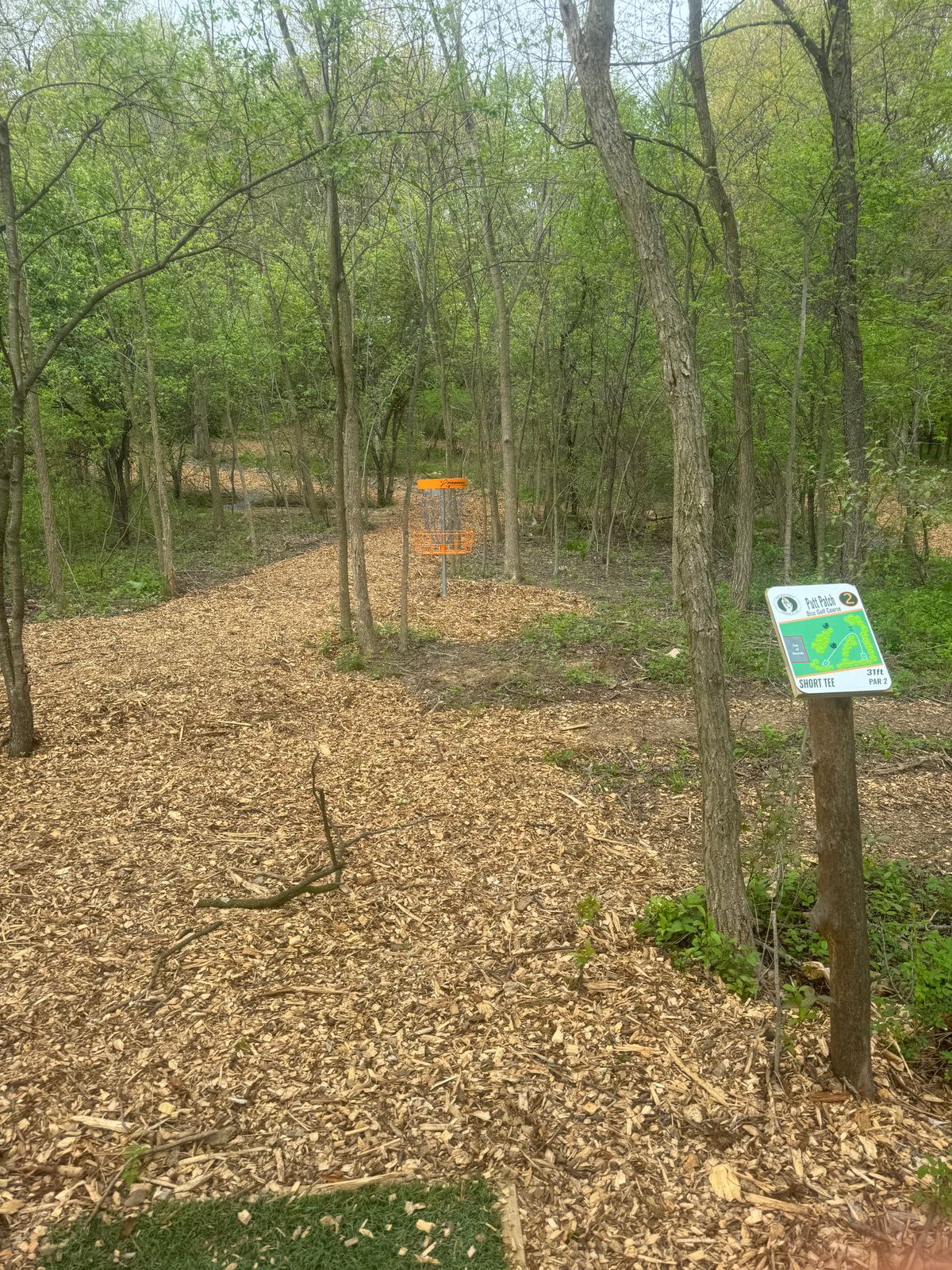 Hole 2 short tee