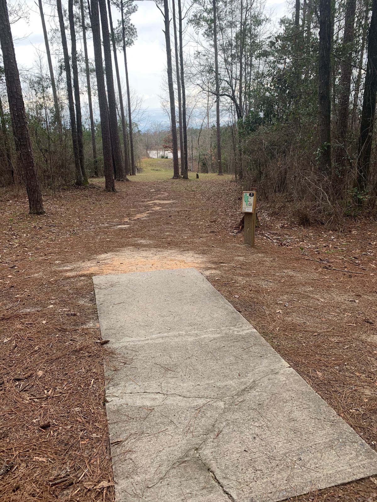 Hole 7