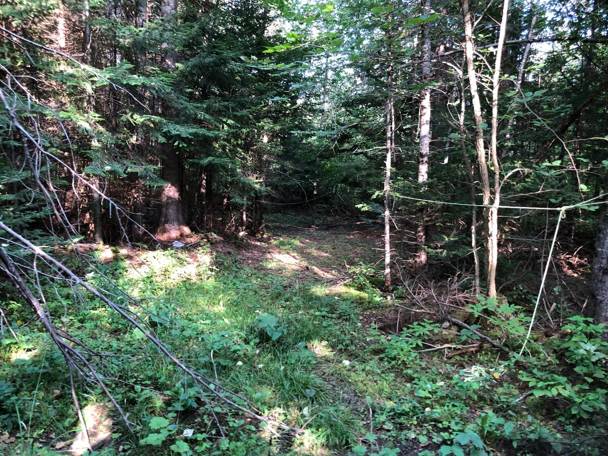 Pathway to 2 tee box