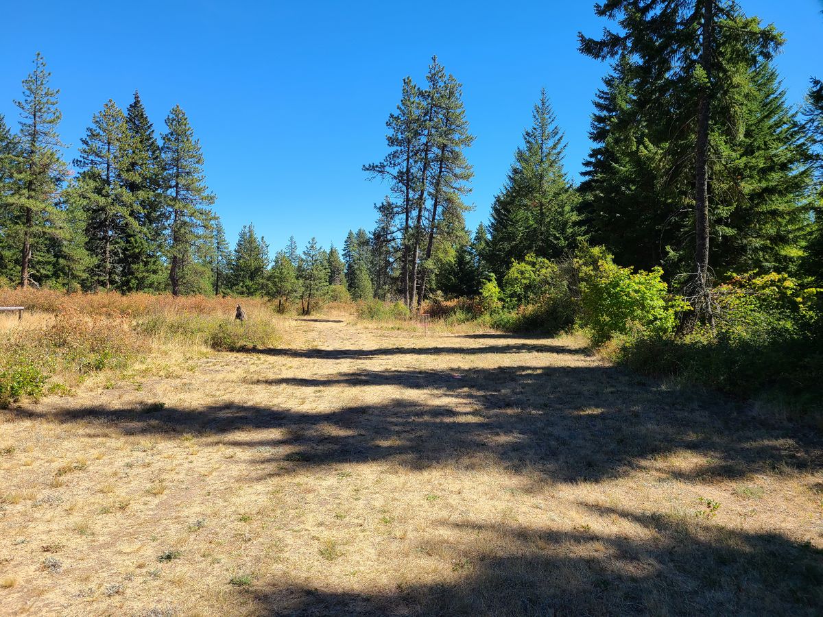 This is what a lot of fairways look like. This was taken Sept. 1st, so it is pretty dry.