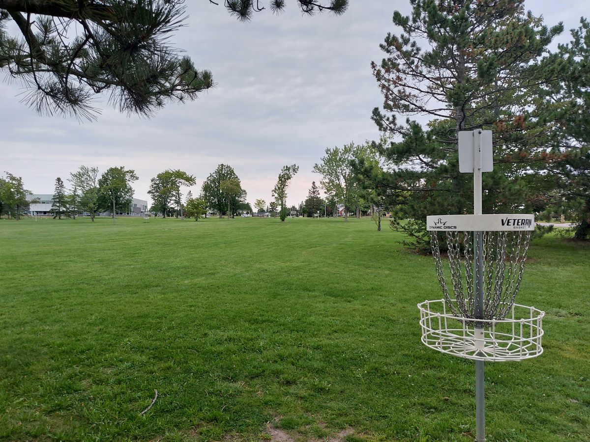 Reverse back up the fairway on hole 5.🌲🌲🌲🌲