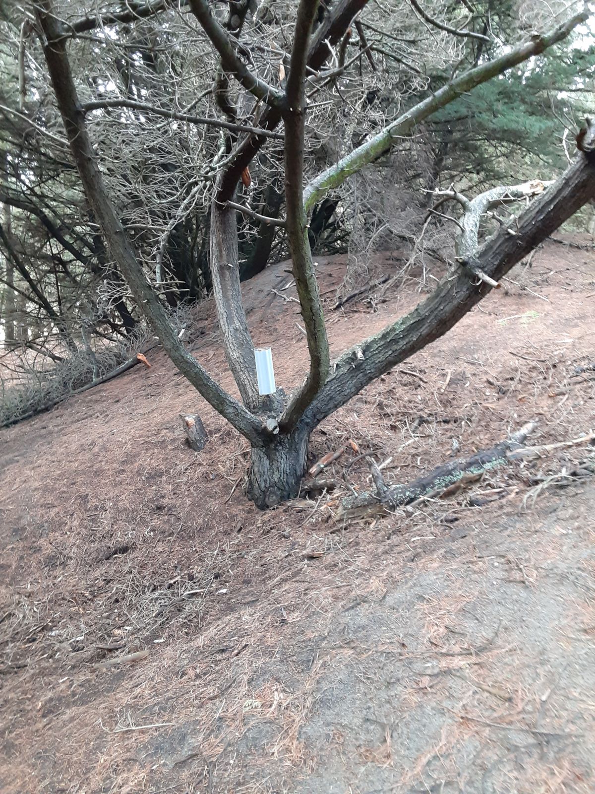 Hole 5