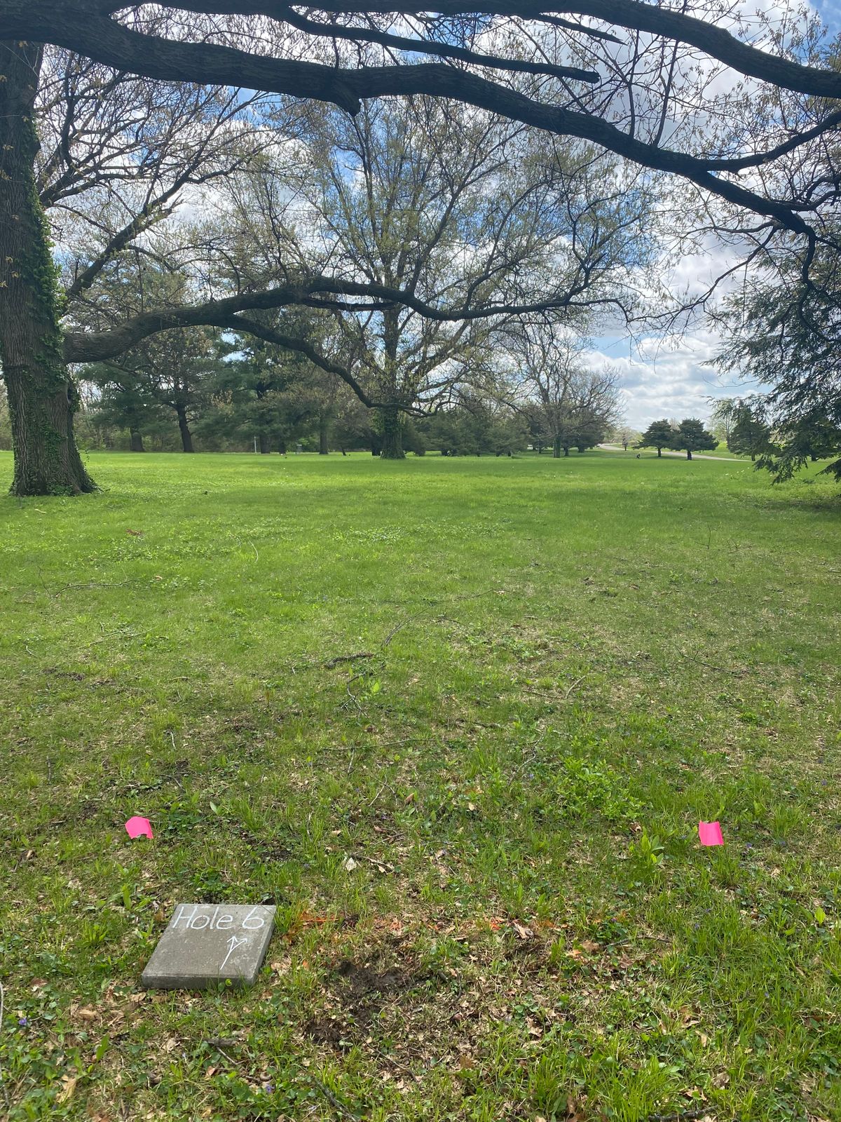 Hole 6 tee location