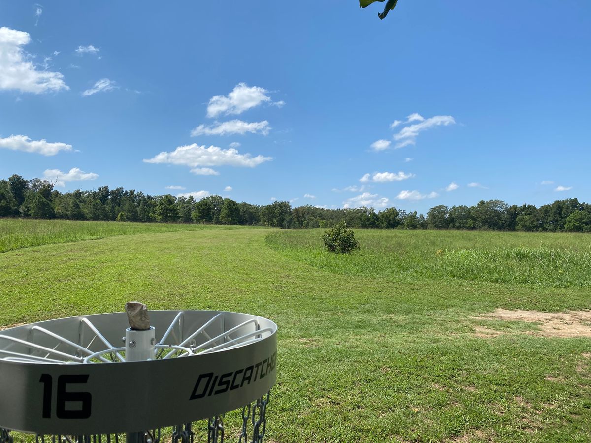 Open fairway back to Tee