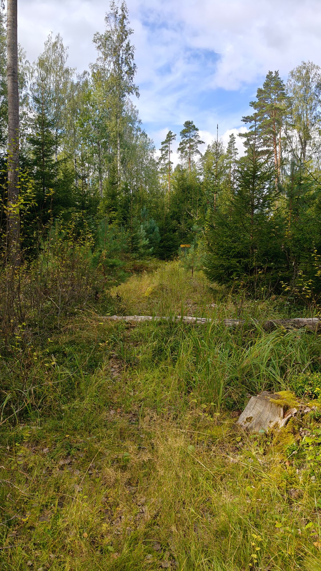 Hole 5