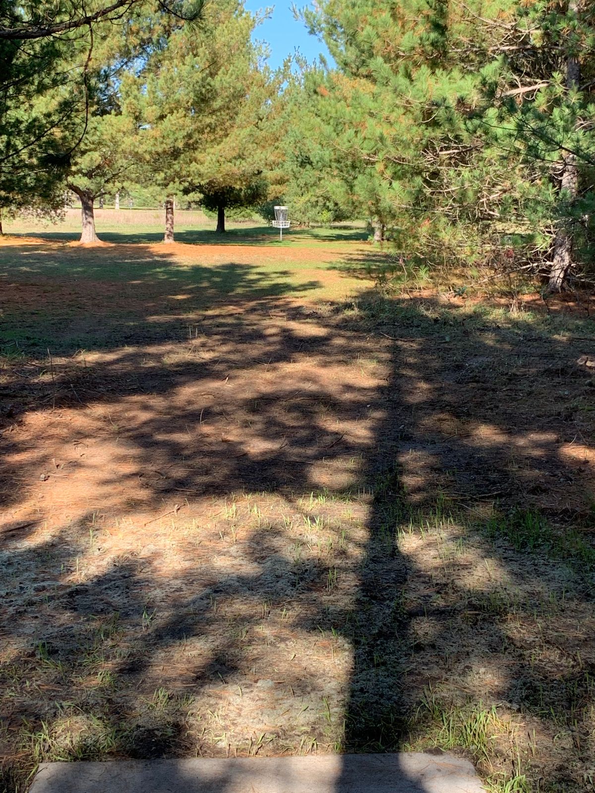 Hole 3 tee