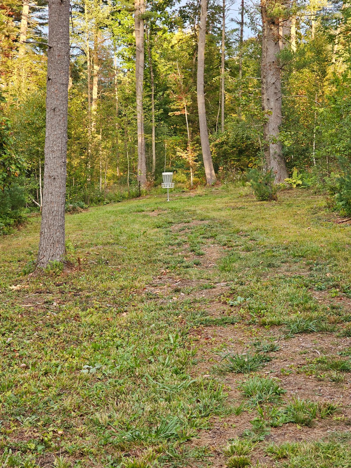 Hole 15