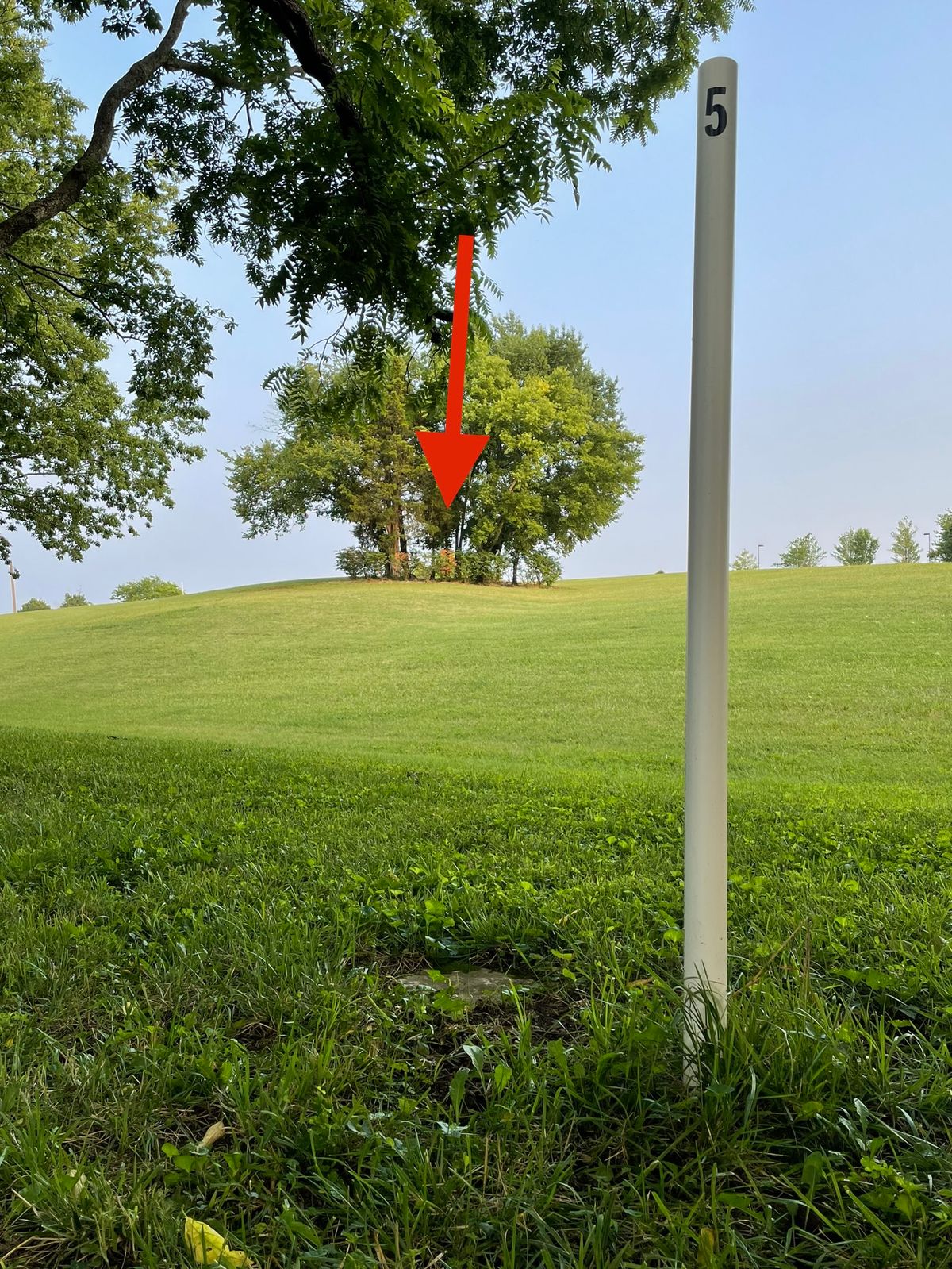 Hole 5, a fun but challenging hole. Try for an ace by going over the bushes, or play smart & lay up!