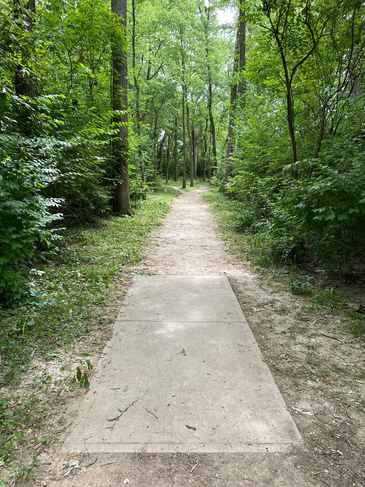 Hole 16 (Tee Box)