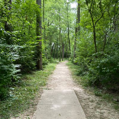 Hole 16 (Tee Box)