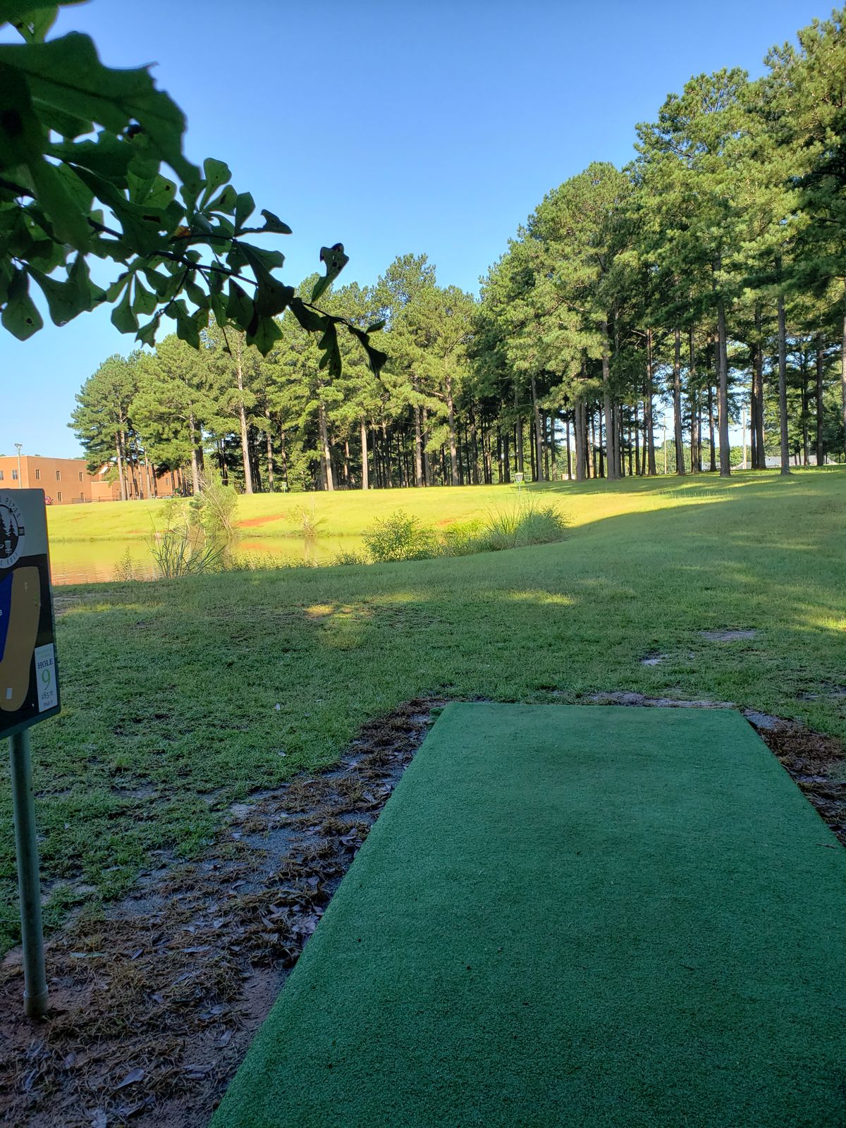 #9 Tee-Pad and Fairway
