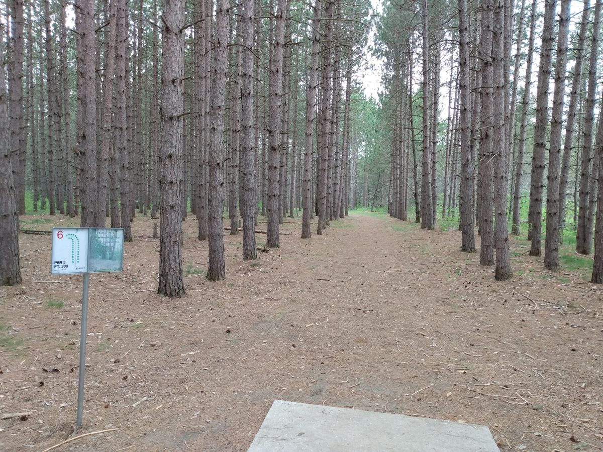 Sixth Tee