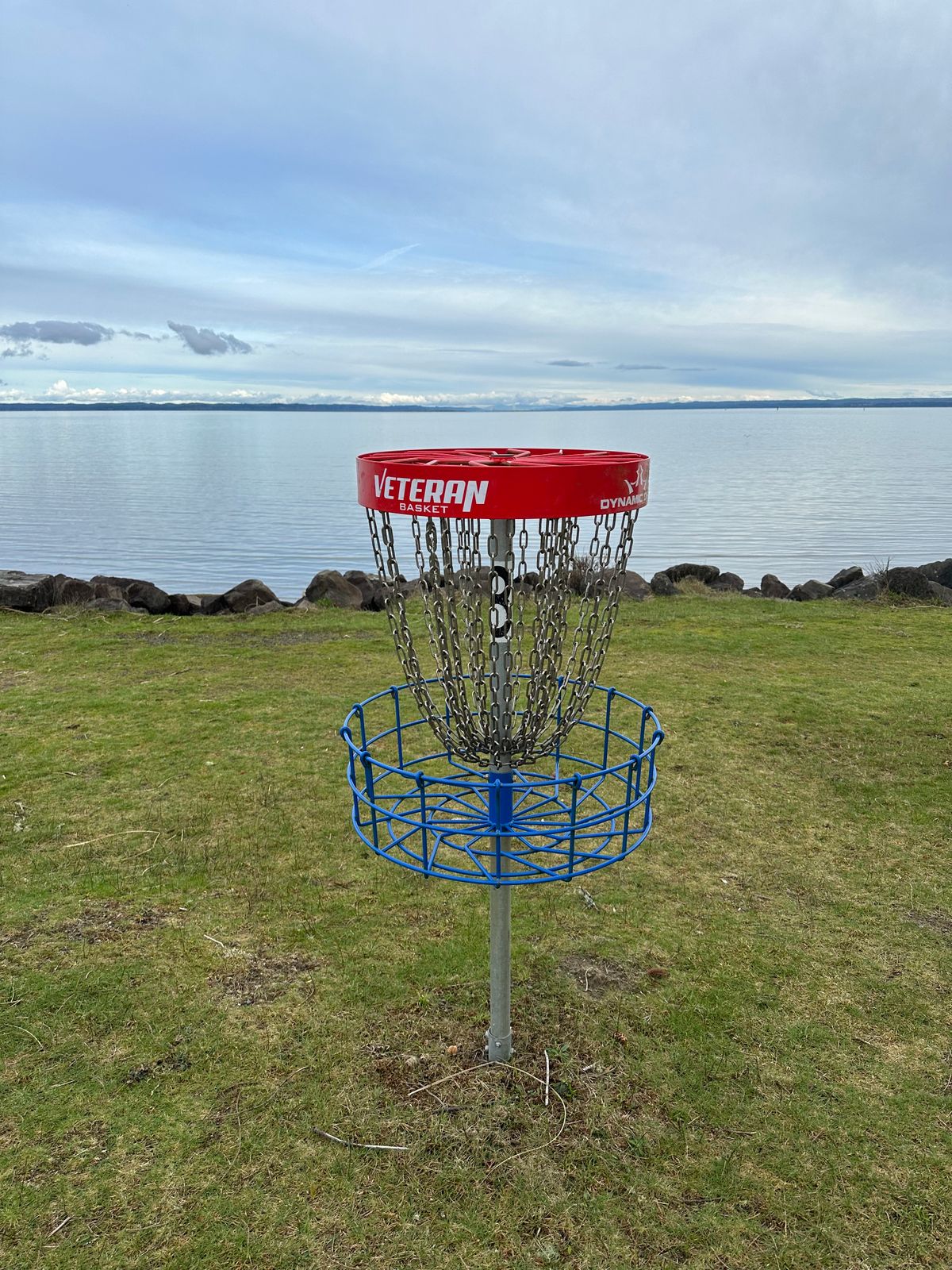 Hole 8 basket on 2/8/24