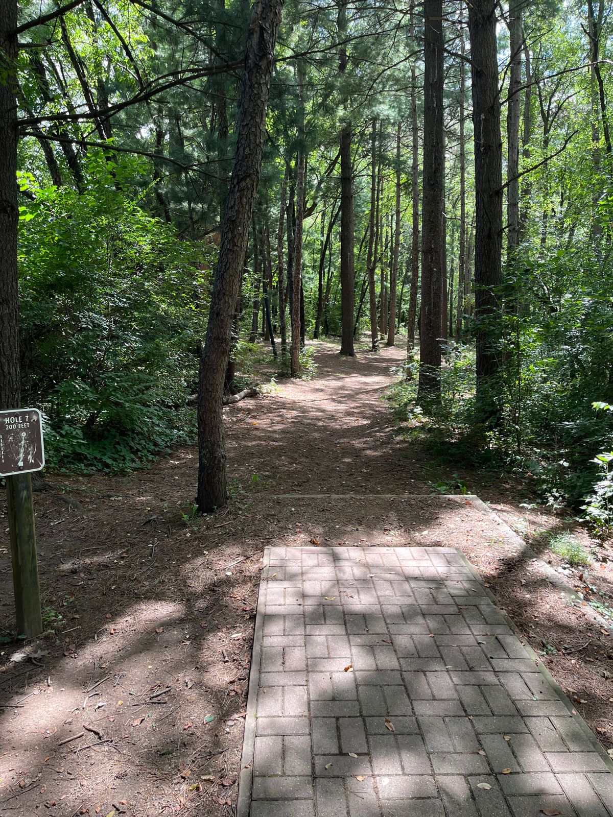 Hole 7