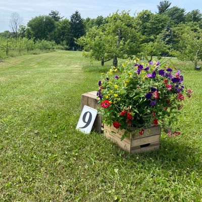 Hole 9