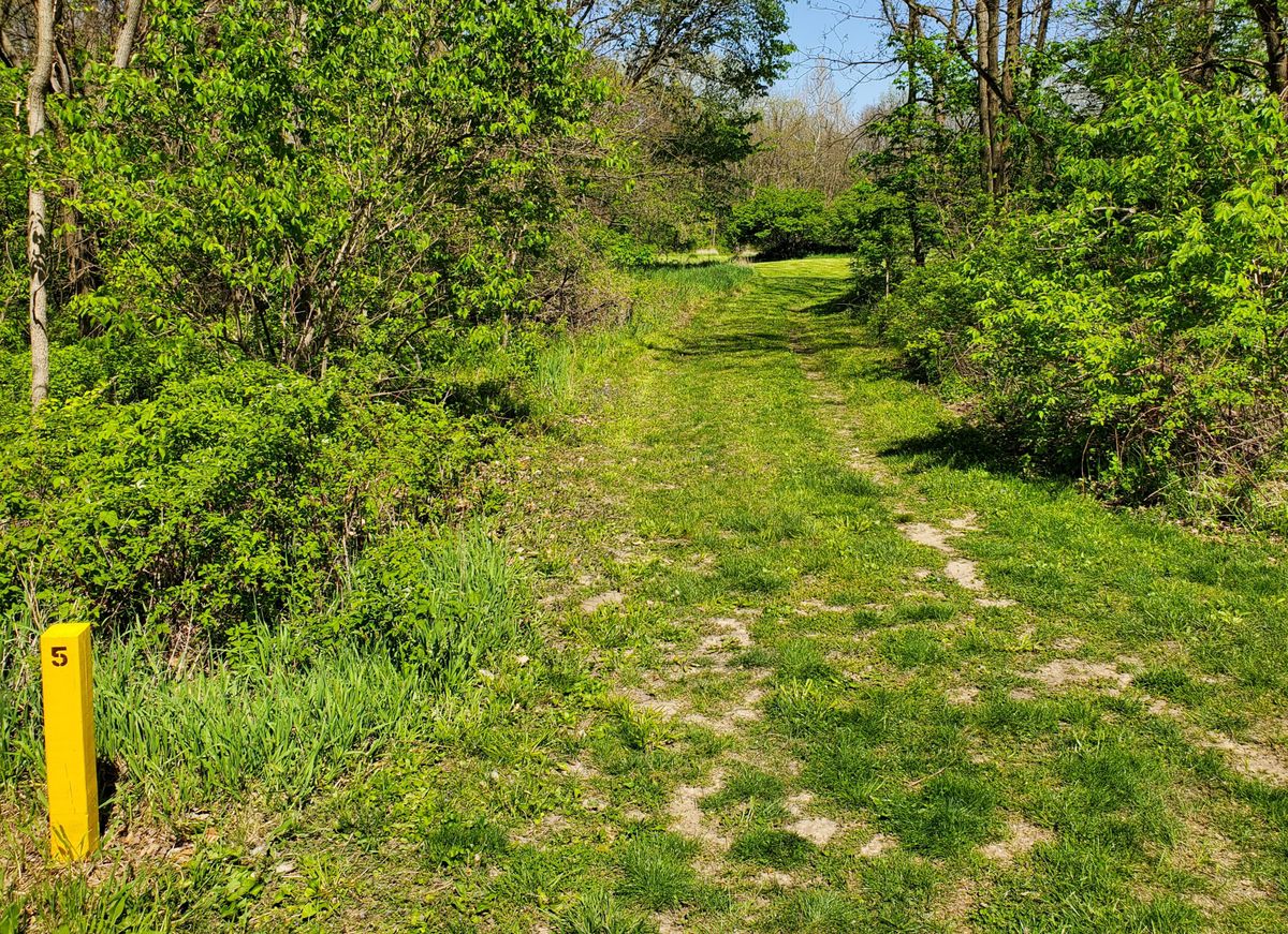 5th tee