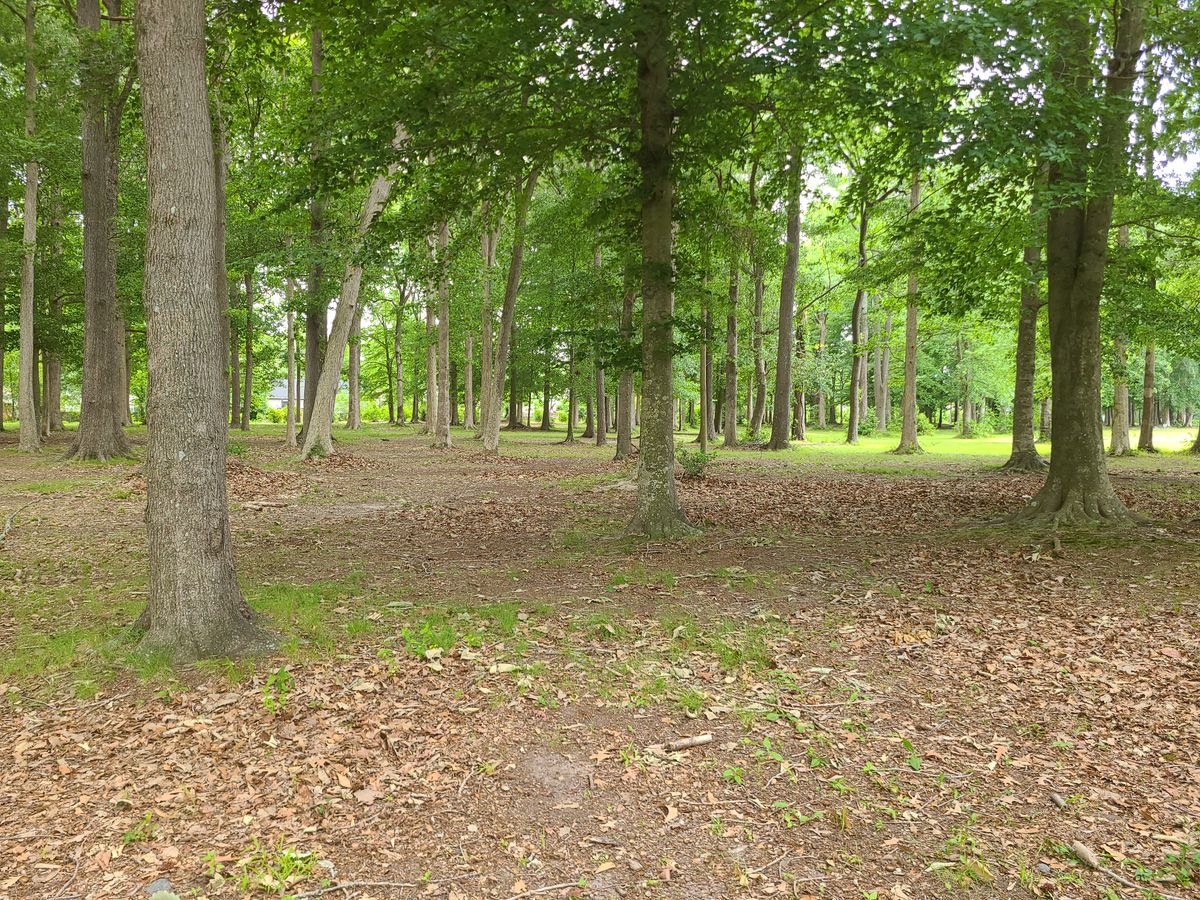 Northgate Park