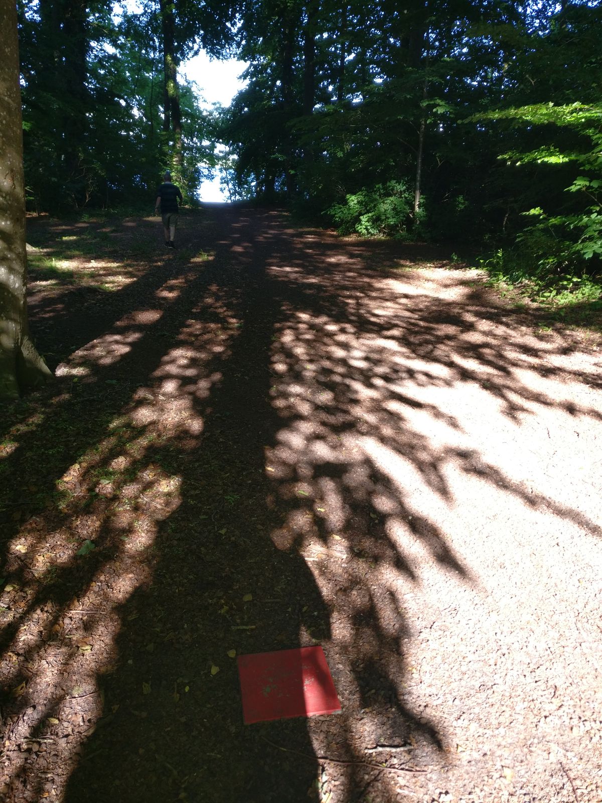 Hole 7