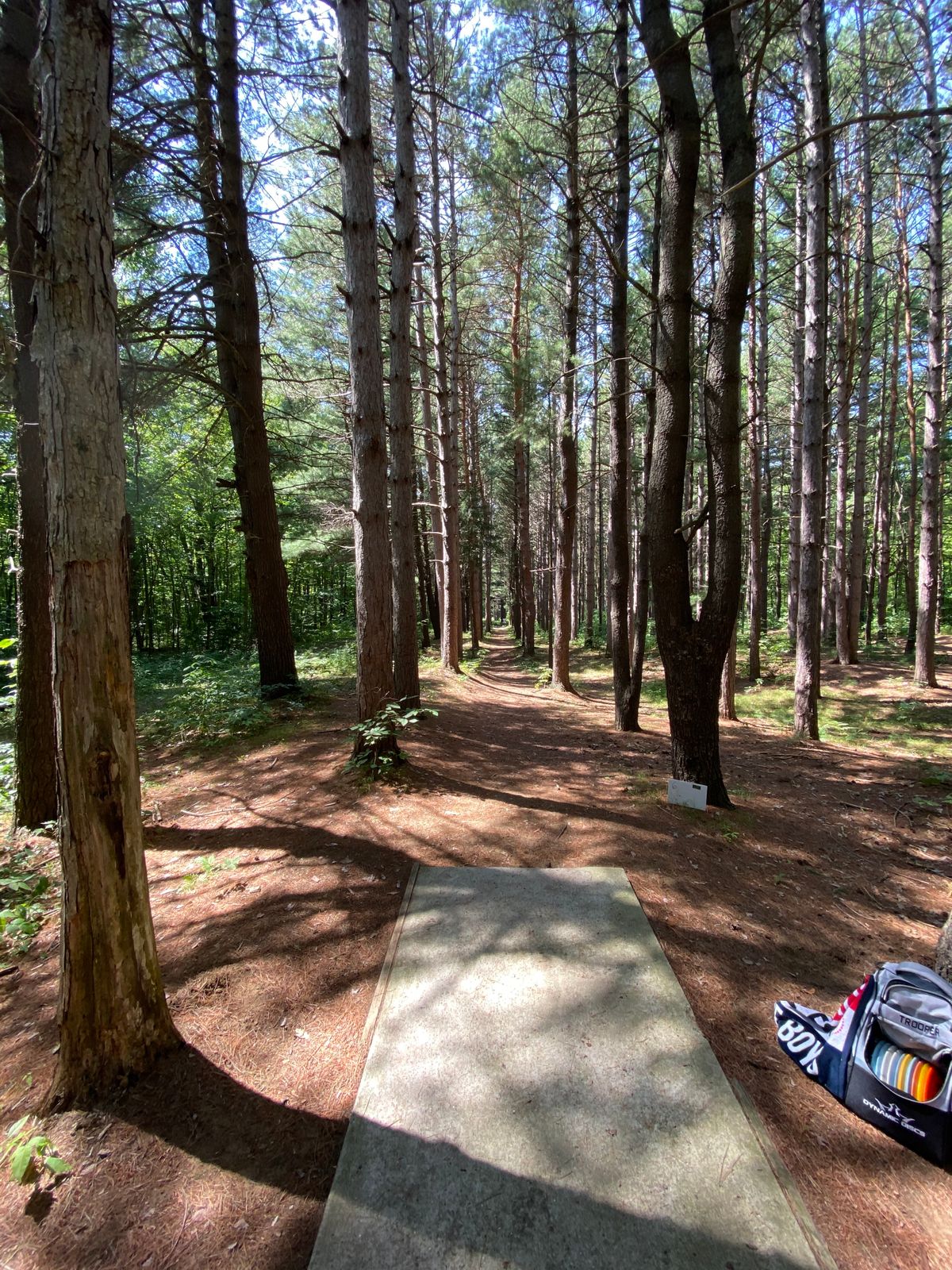 Hole 6