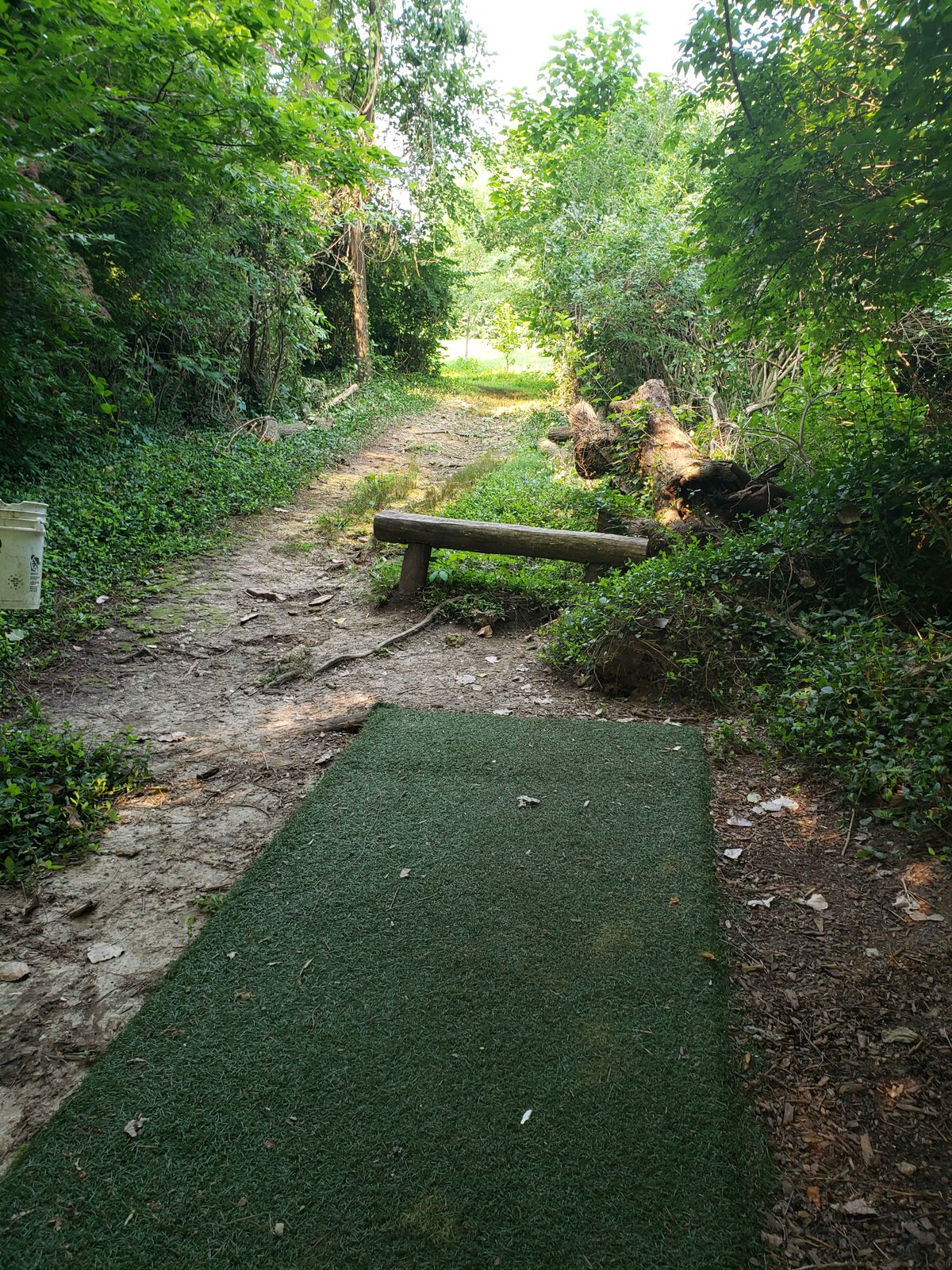 #2 Tee-Pad facing back toward #1 Basket AFTER fallen tree cleanup. Thanks Volunteers!