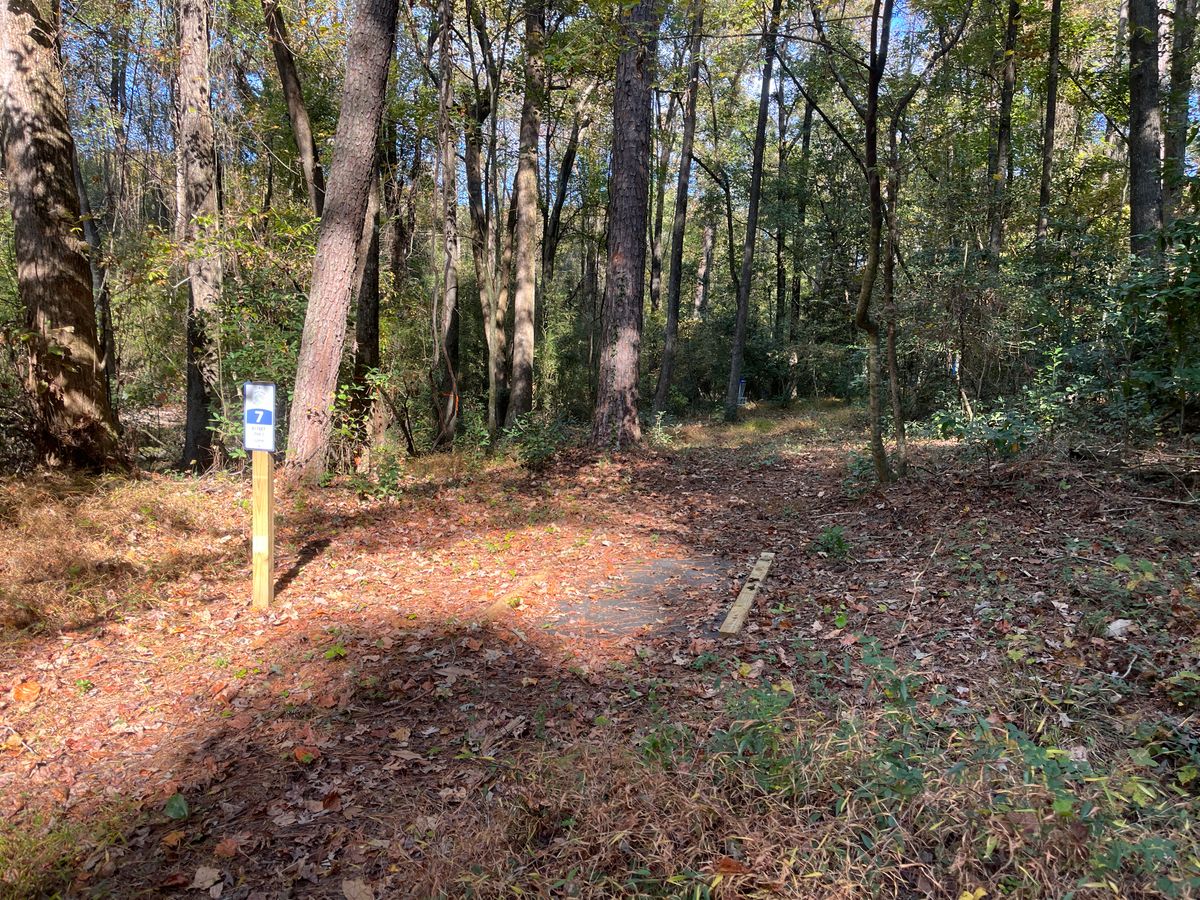 Hole 7 tee