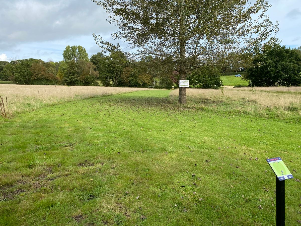 Hole 11 short tee Mando left