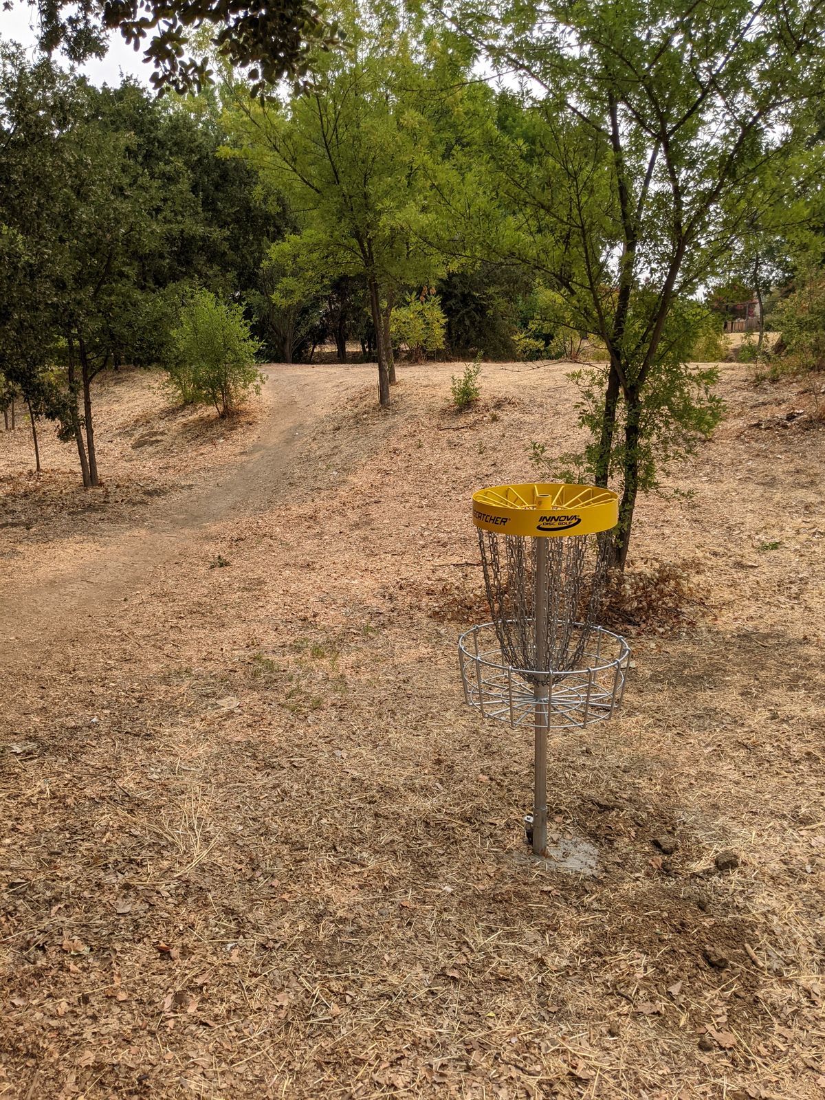 Basket #7 from backside
