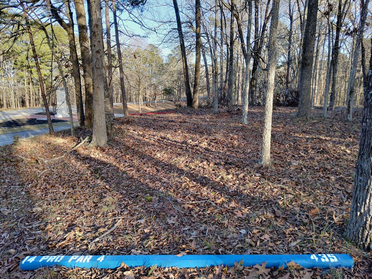 Hole 14 Pro Tee