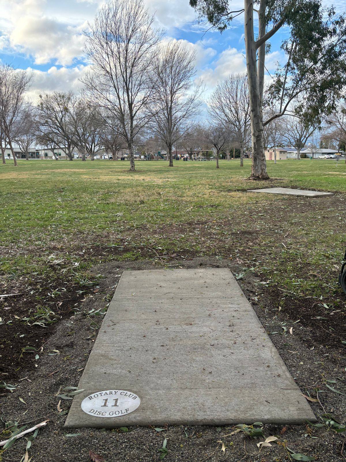11 tee pad.