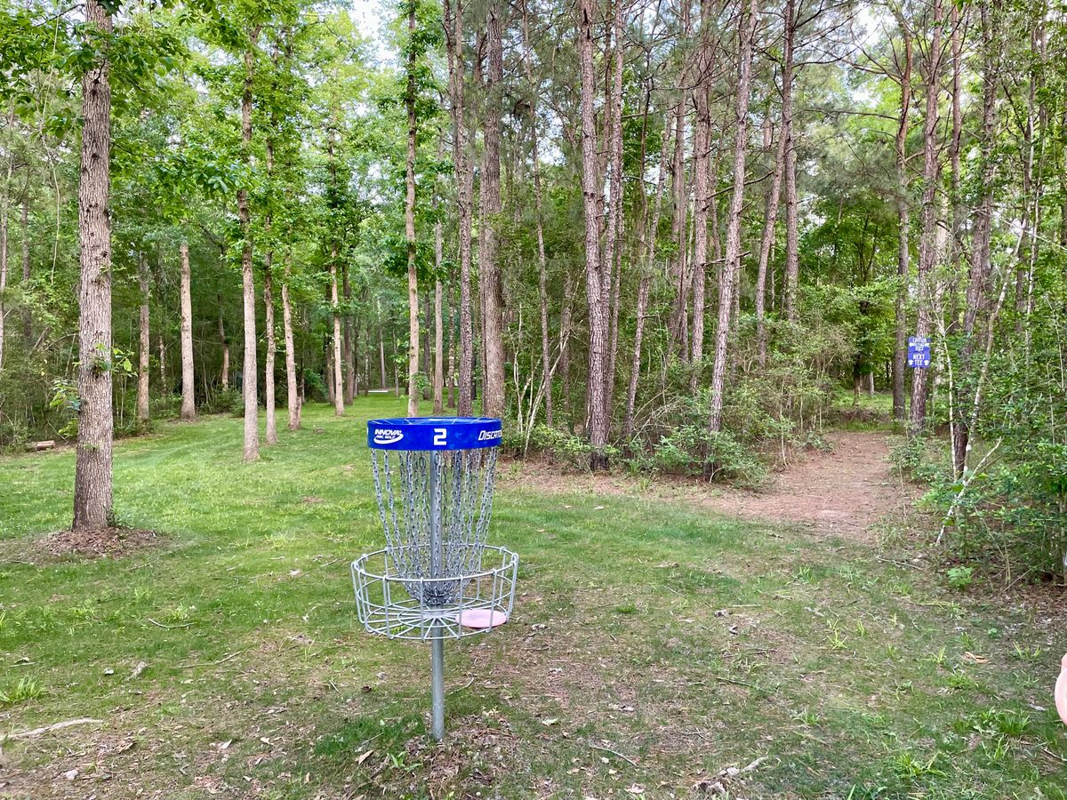 Hole 2 basket looking back down fairway & path to hole 3