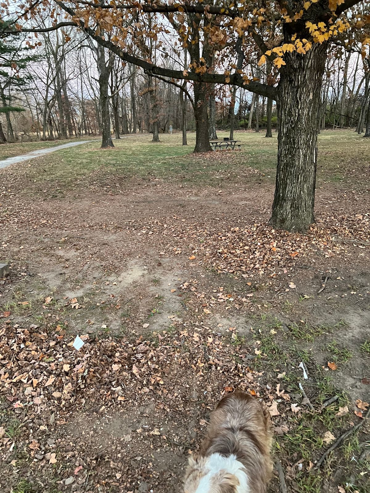 Hole #9