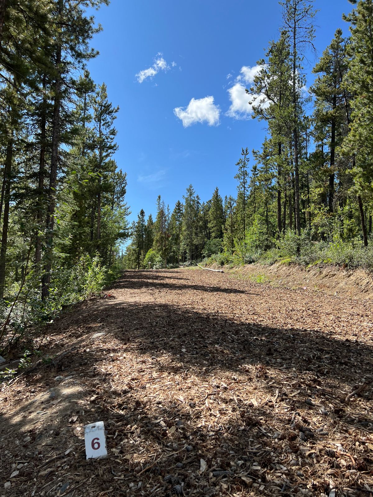 Hole 6 whites