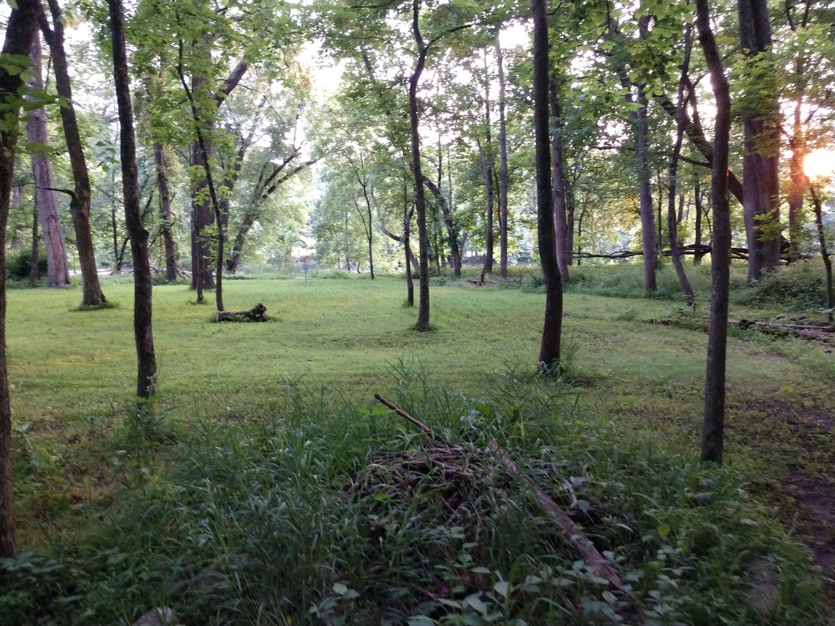 Hole 12 landing area and basket