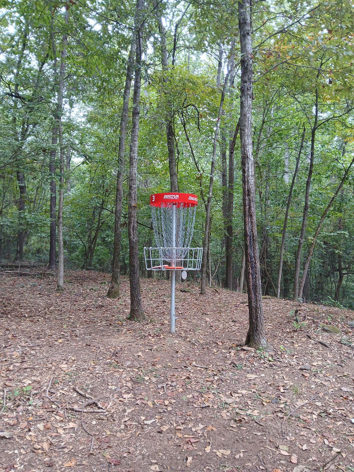 Hole #3 Cage