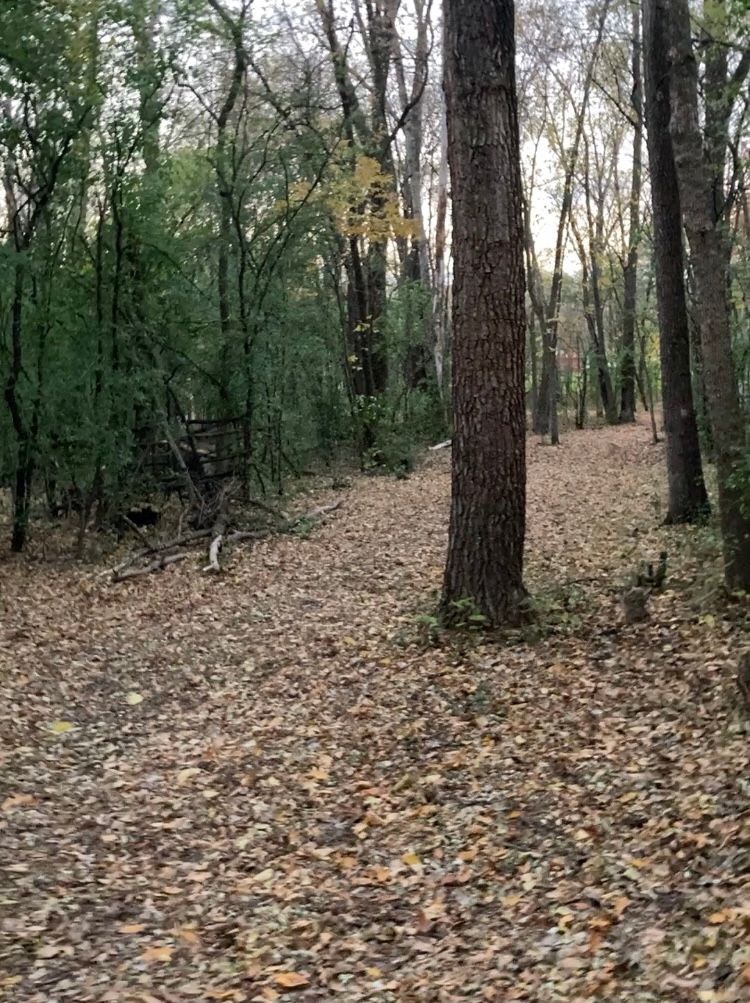 Hole 6