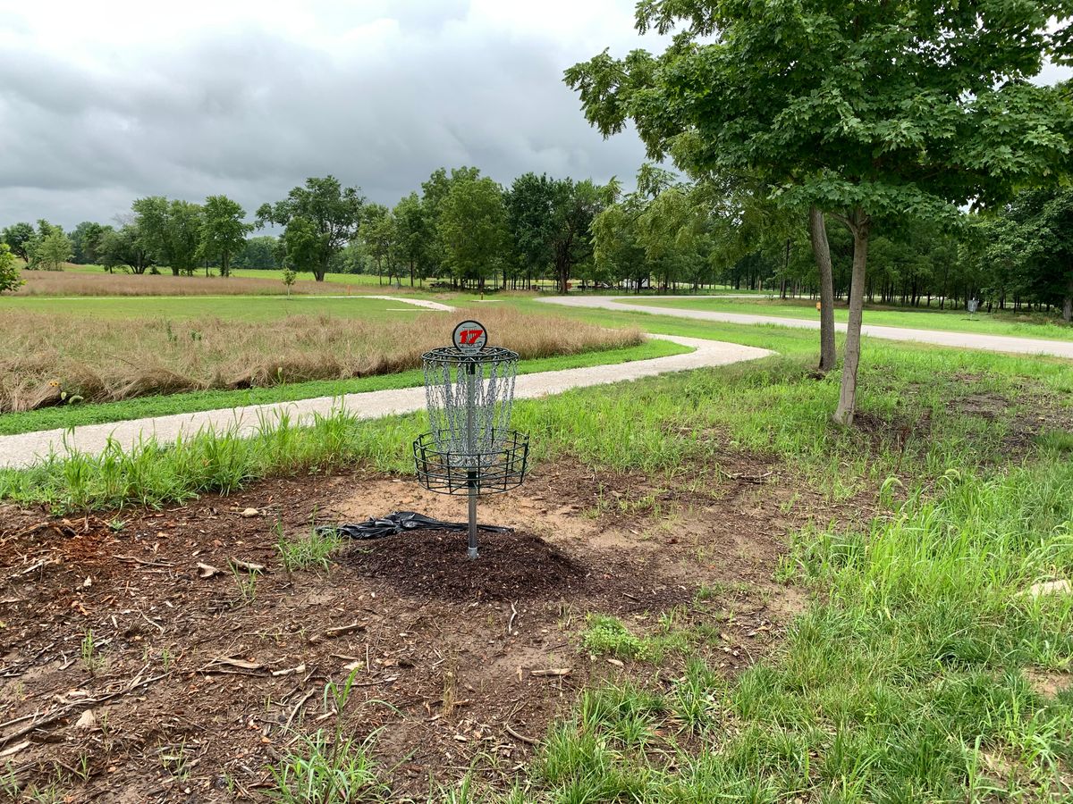 Hole 17 Basket