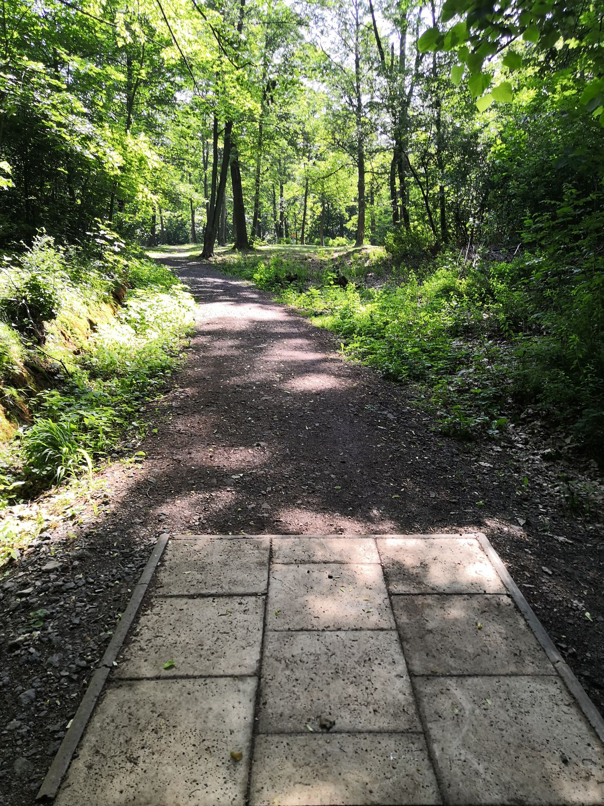 Hole 3