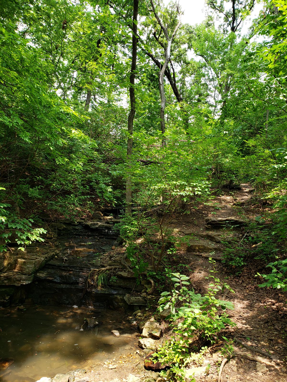 Water Trap at #4