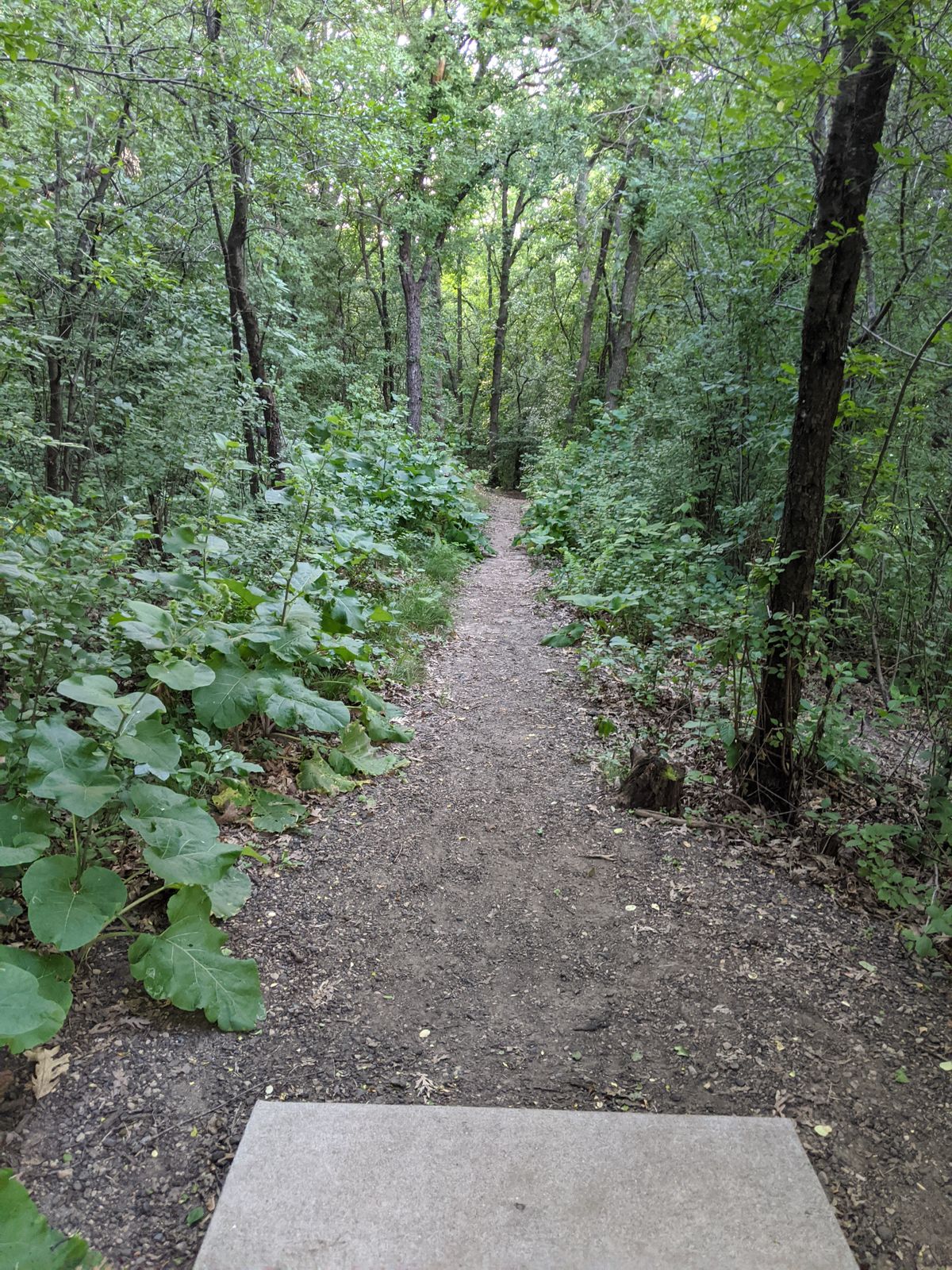 Hole 17