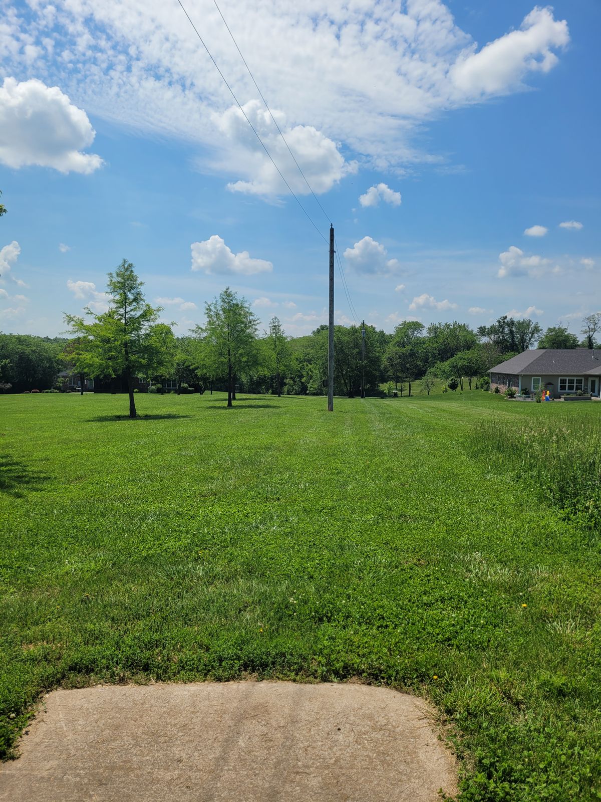 Hole 2 Tee to Basket
