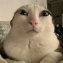 madsbuch