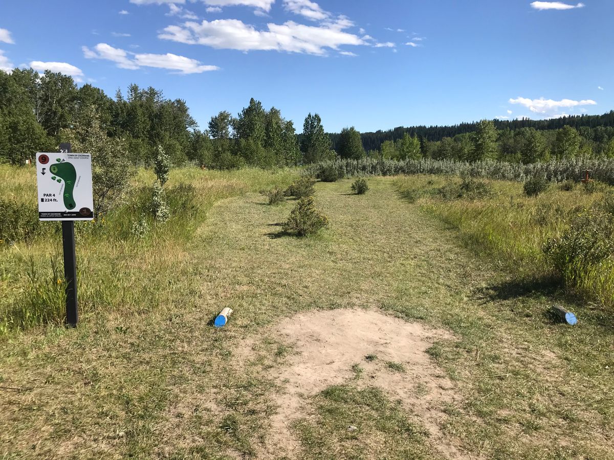 Home 9 tee box