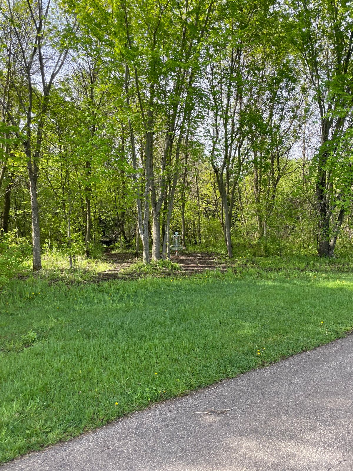 Hole 1 basket
