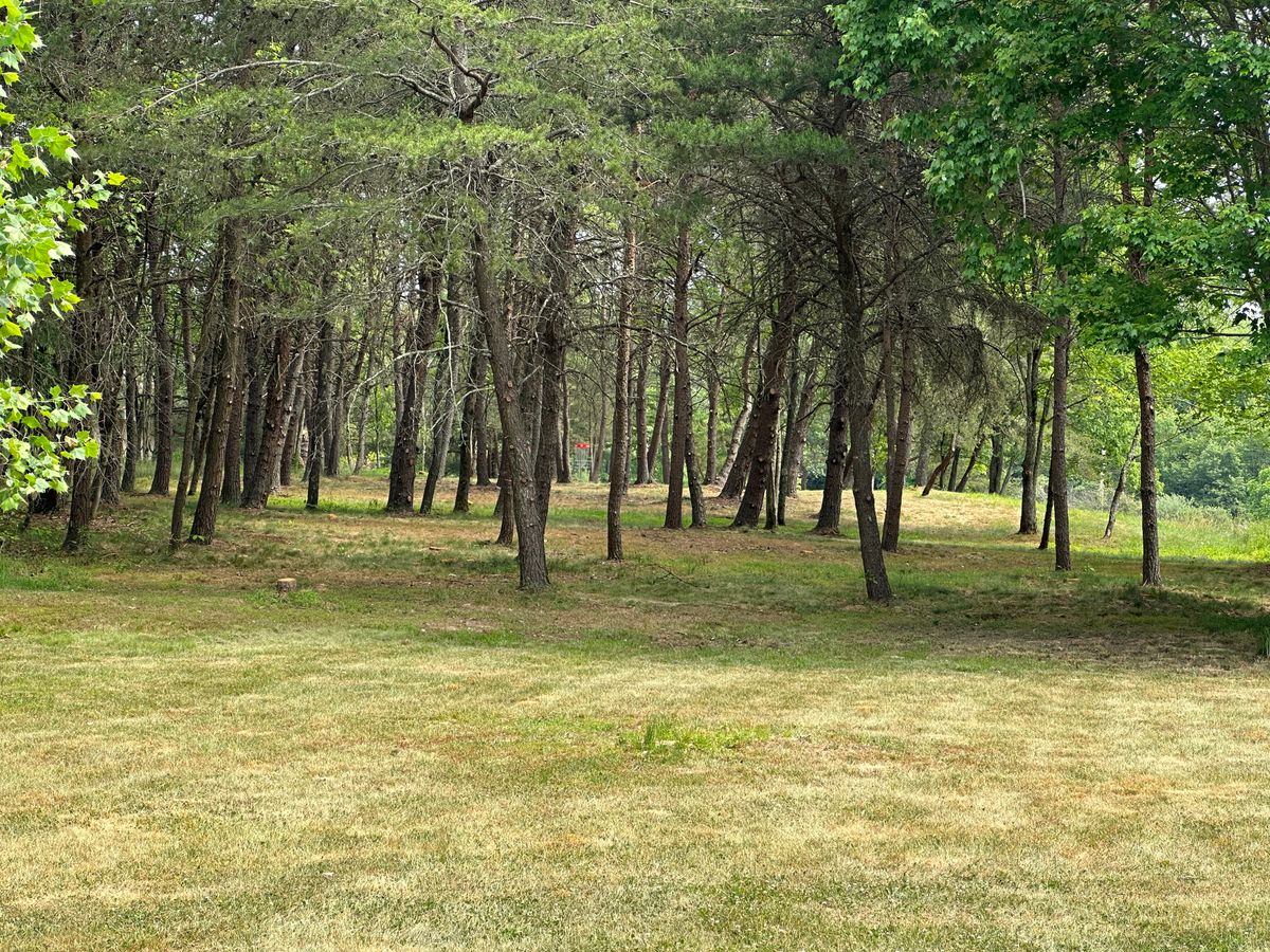 #17 approach shot