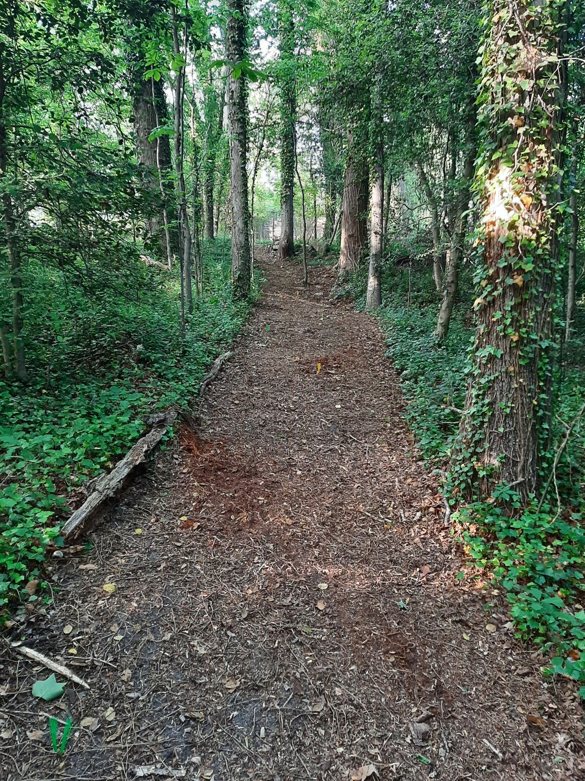 Hole 18 White Tee