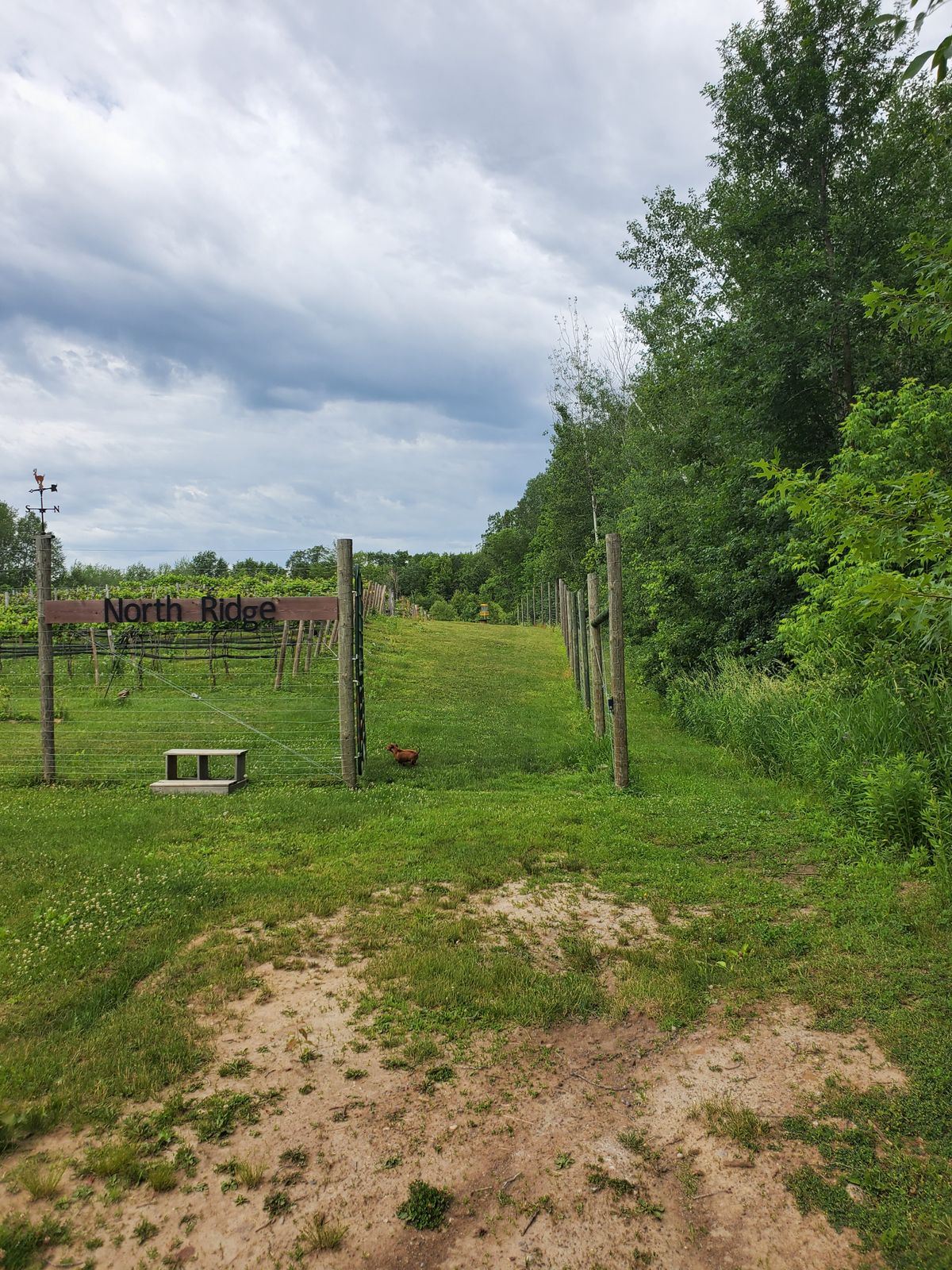 Hole 1 view from tee
