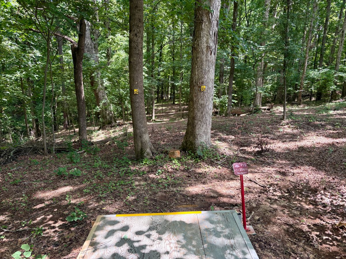 Hole 15 tee