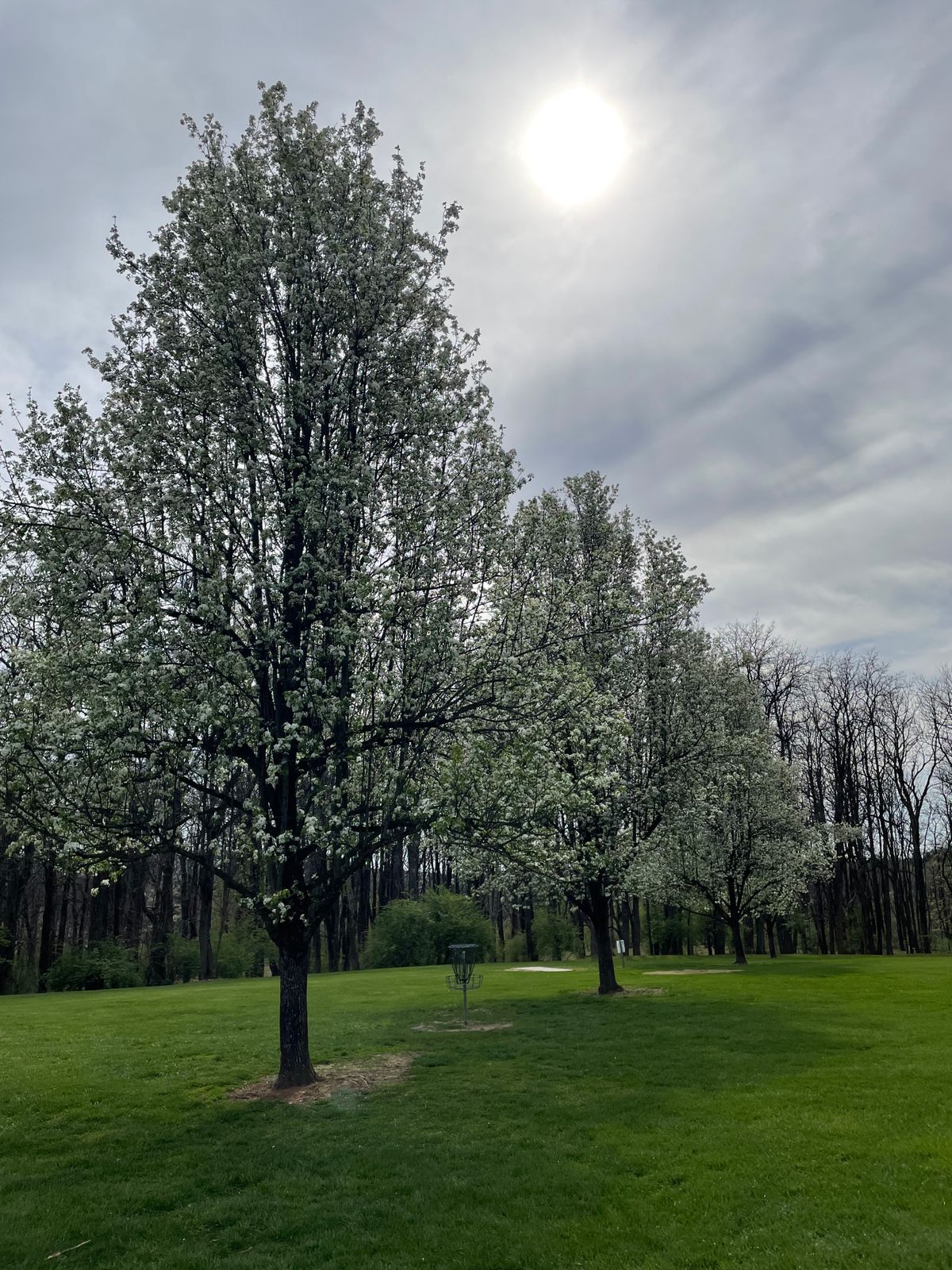 Hole 18