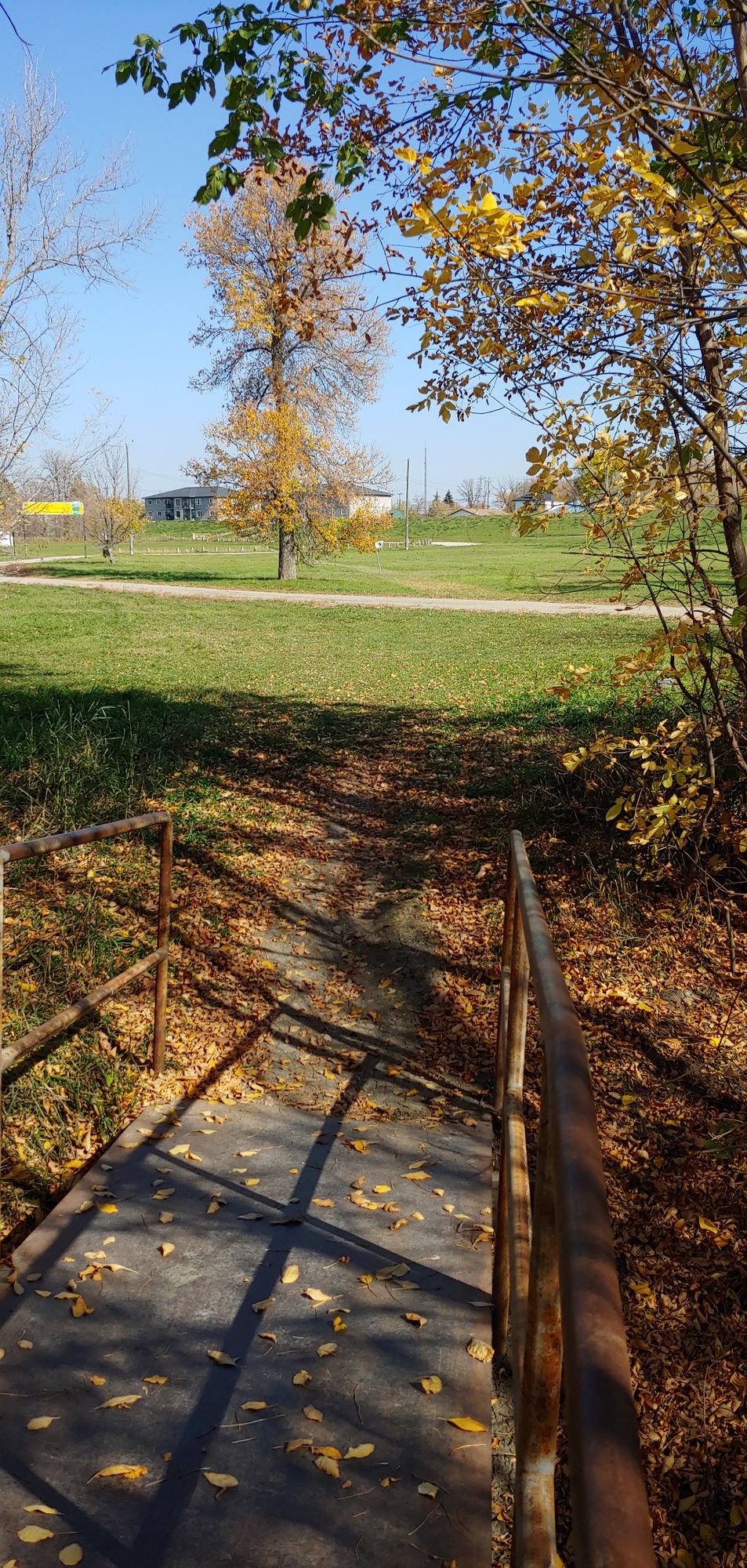 Ninth pin under the right branch of the solo tree.